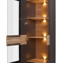 Colonne Vitrine 1 Porte Ouverture Gauche 10 Colonne Vitrine 1 Porte Ouverture Gauche -WOOOD Soldes 0ec6f003819448368b74de5a16253325.cropped 204 49 421 711.processed