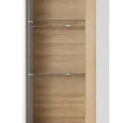Armoire Vitrine ARCO 60W LED -WOOOD Soldes 39bb66159d0a4688bbe4dc444e5fafa3.cropped 248 234 2019 5181.processed