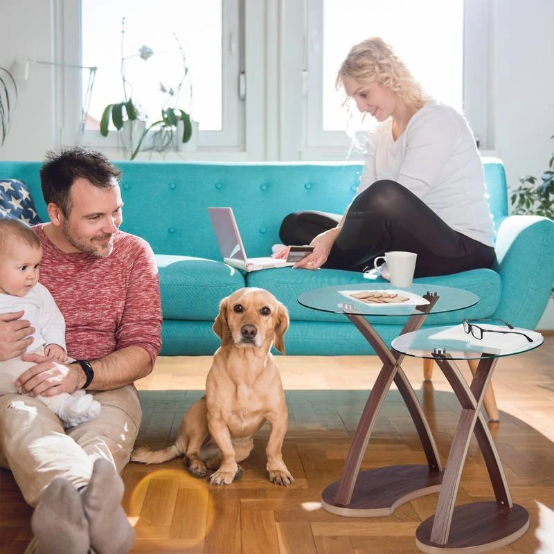 Table D’appoint Ronde Lot De 2 Plateau 5 Table D’appoint Ronde Lot De 2 Plateau – Image 3