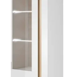 Armoire Vitrine ARCO 60W LED