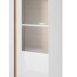Armoire Vitrine ARCO 72 LED
